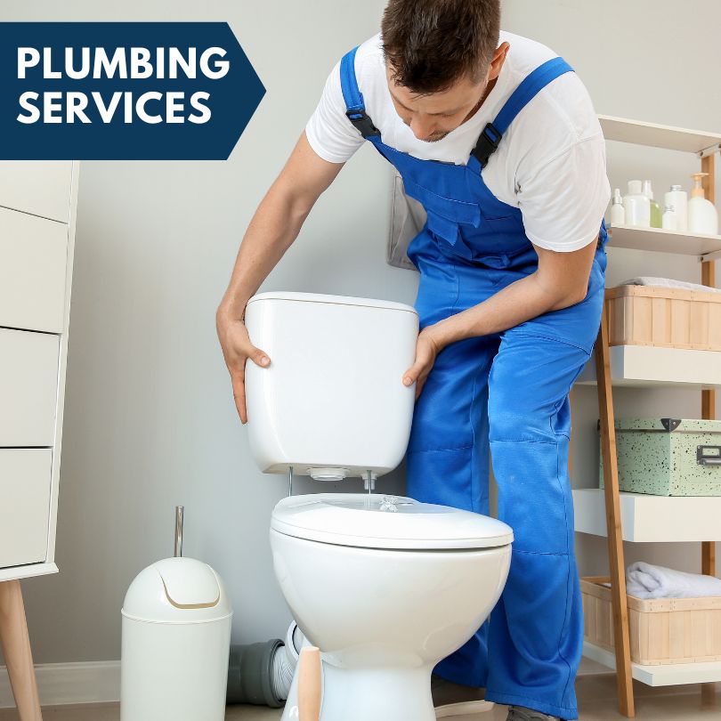 Plumbing Company in Vandalia, MI